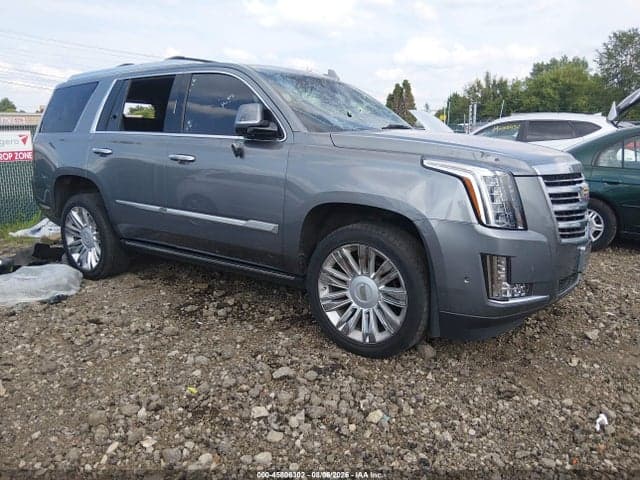 2019 CADILLAC ESCALADE PLATINUM - 1